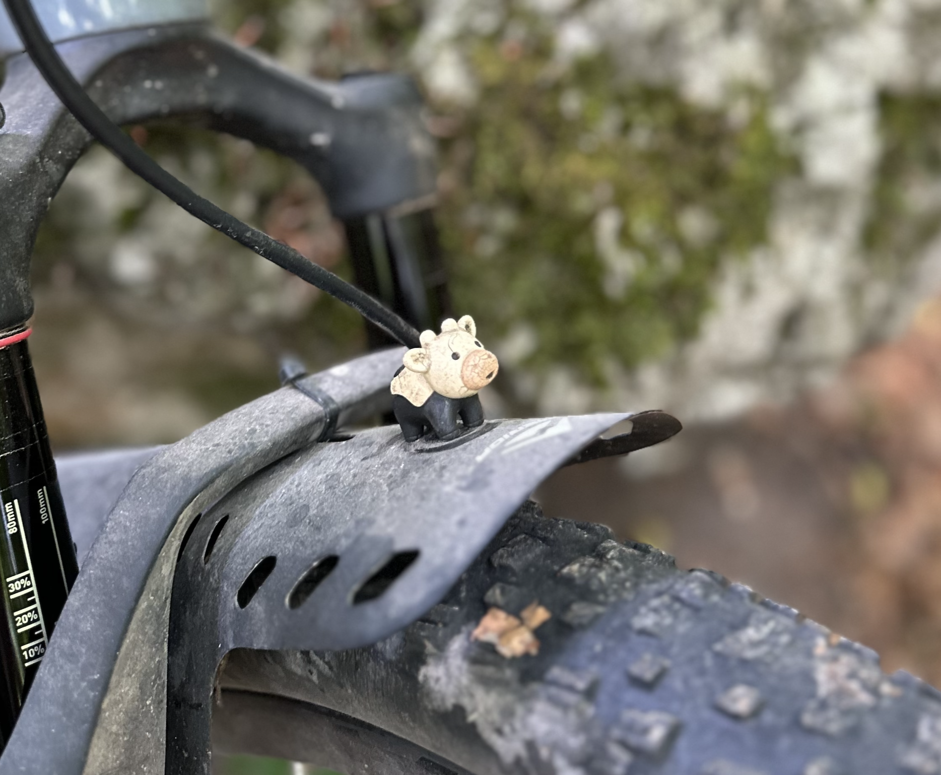 Cow hood ornament on bike